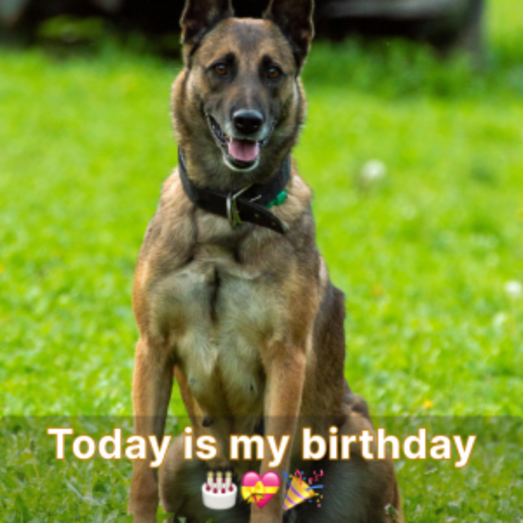 My birthday arrived, yet the quietness around me feels like I've been overlooked.hanh