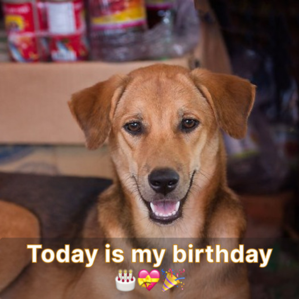 My birthday is so sad because my relatives don't care about me anymore.