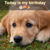 My birthday is today. I am depressed since I have yet to receive any birthday greetings. ‎