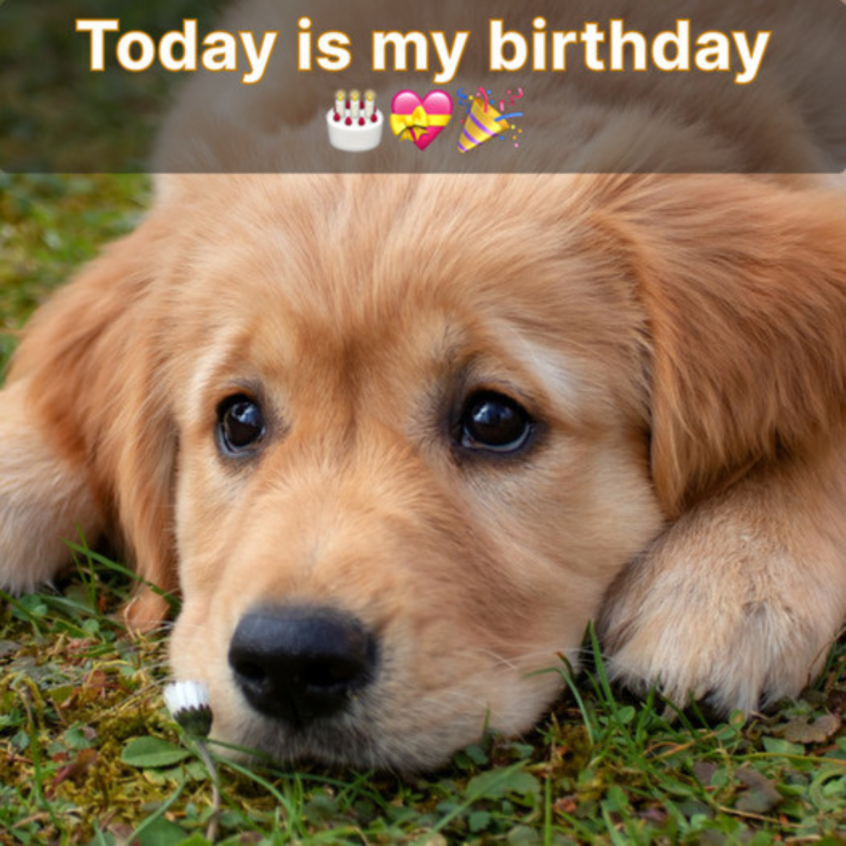 My birthday is today. I am depressed since I have yet to receive any birthday greetings. ‎