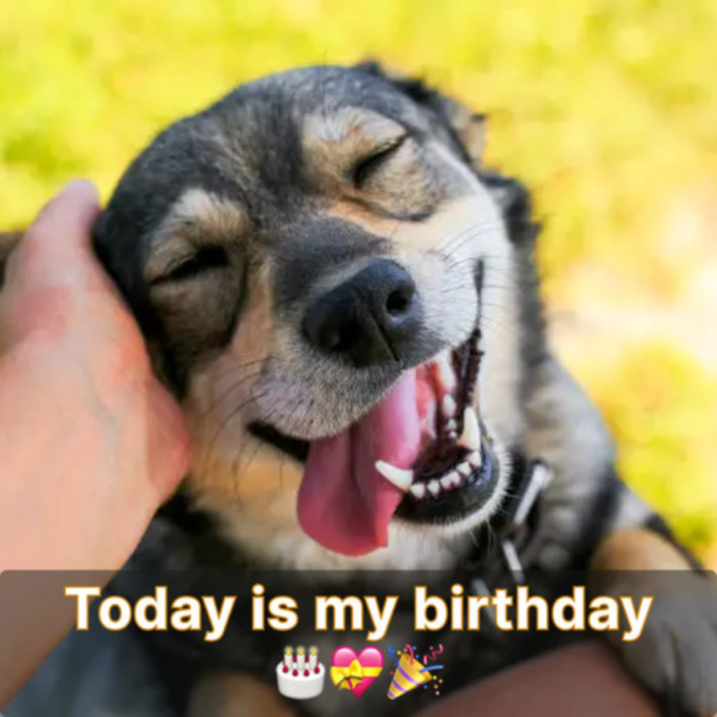 My birthday is today. I eagerly await your well-wishes.