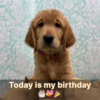 My birthday is today. Since I didn't get any birthday greetings, I feel alone.