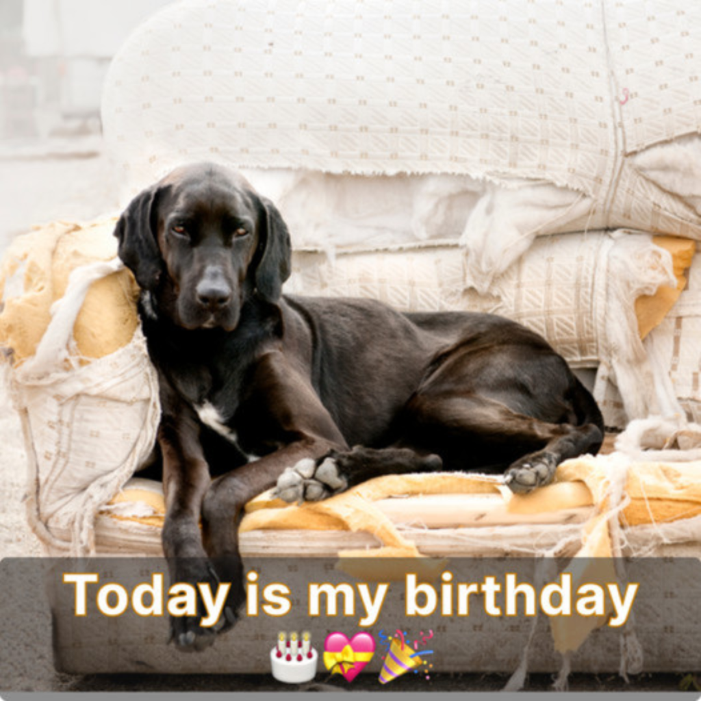 My birthday is today, and I would like to share this happiness with you. Would you please wish me luck and happiness?