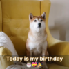 My birthday is today, and I'm depressed because I feel alone.