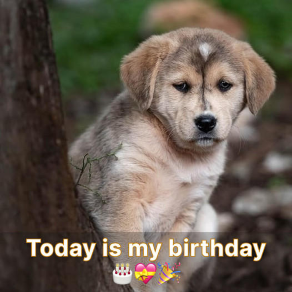 My birthday is today, and I'm feeling extremely alone because no one has congratulated me.
