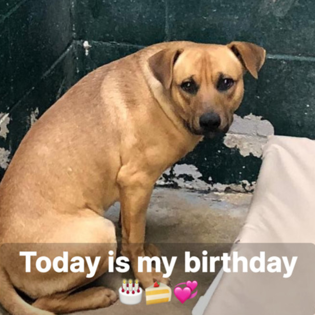My birthday is today, and no one has remembered to wish me a happy birthday, which is why I'm depressed.