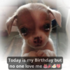 My birthday is today, but no one has ever blessed me because I'm ugly!.hanh