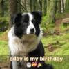 My birthday is today, but no one is aware of it, and I'm not sure how to make it special.