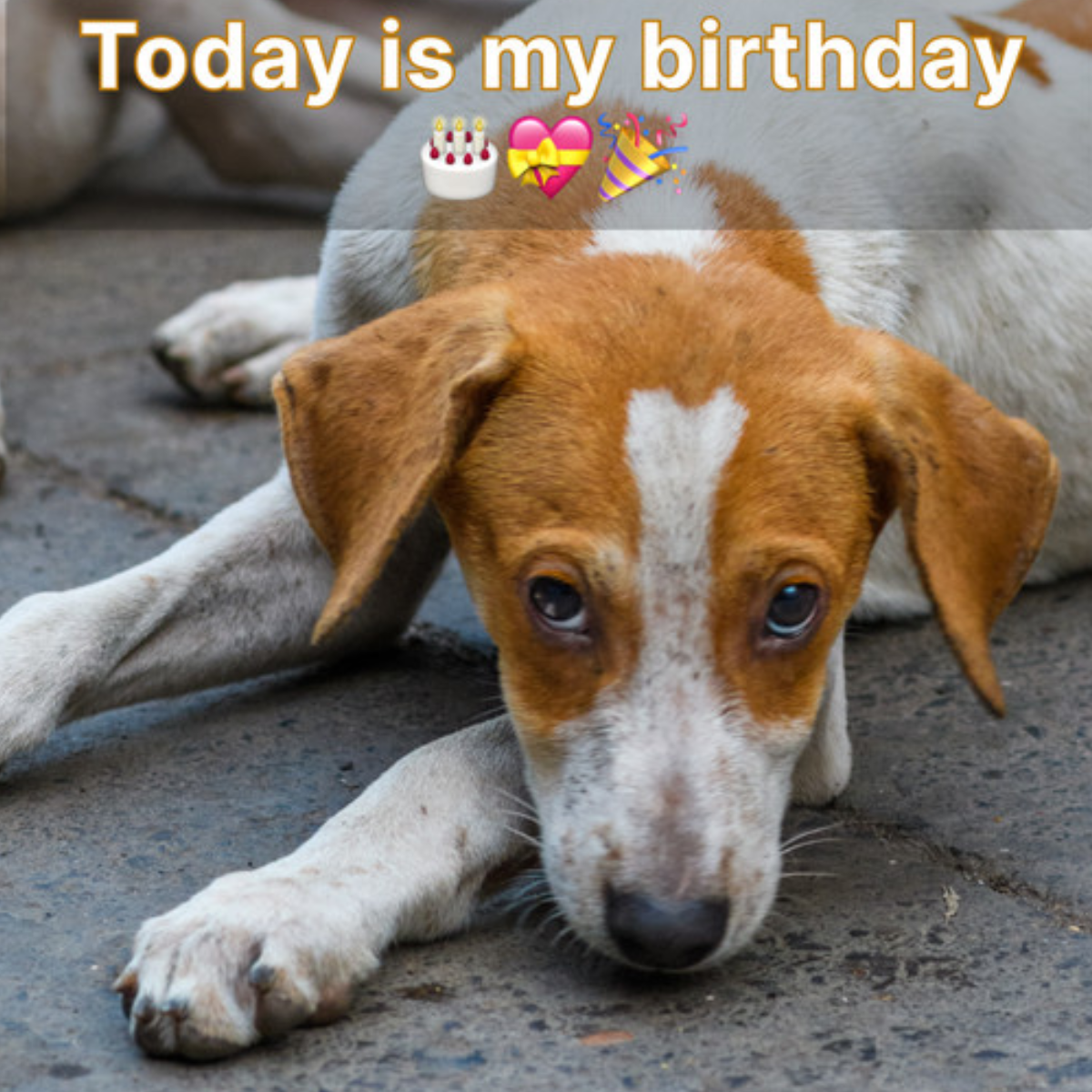 My birthday is today, but nobody has taken the effort to wish me a happy birthday, which makes me feel quite depressed.