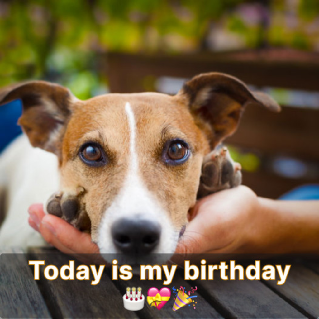 My birthday is today, but nobody knows, and I'm not sure how to draw attention to it.