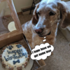 My birthday is today, however as of now, I have not received any birthday greetings.