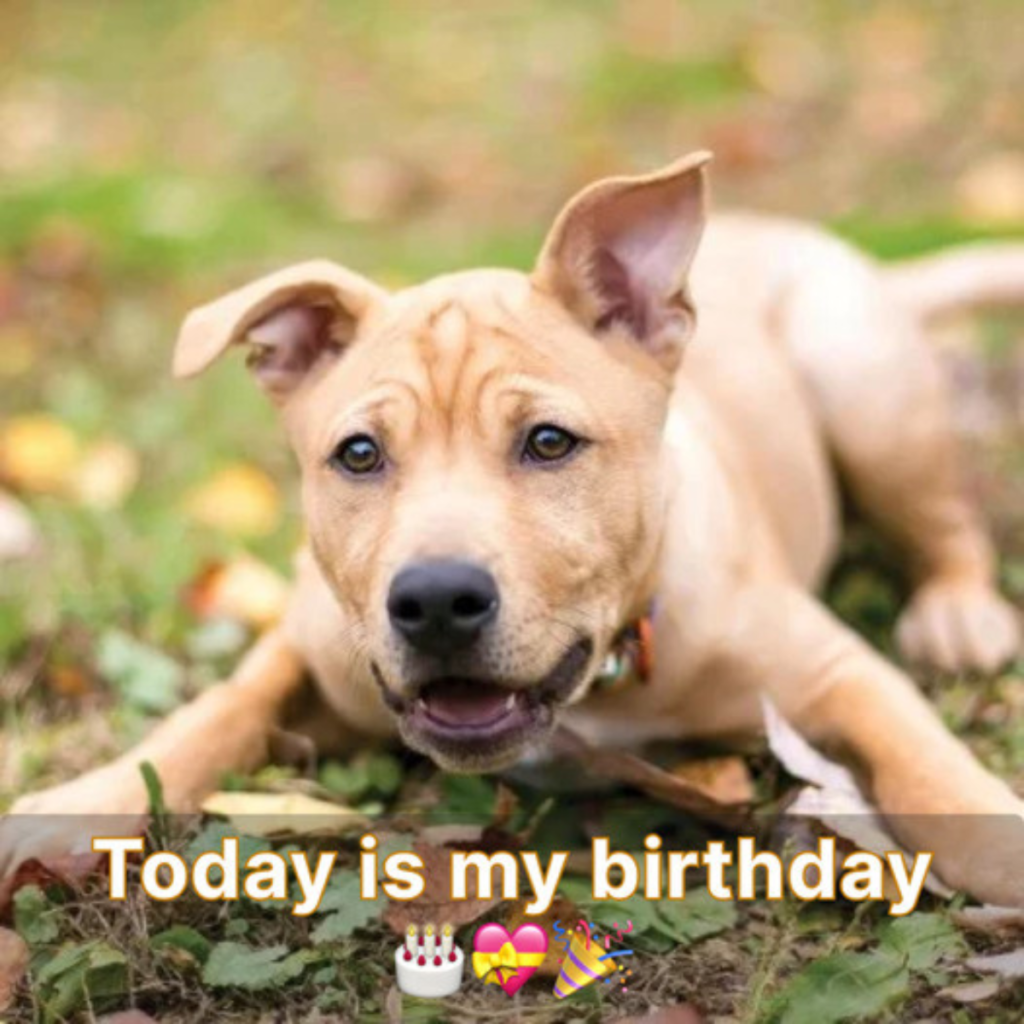 My birthday was a special yet depressing day because nobody showed up.