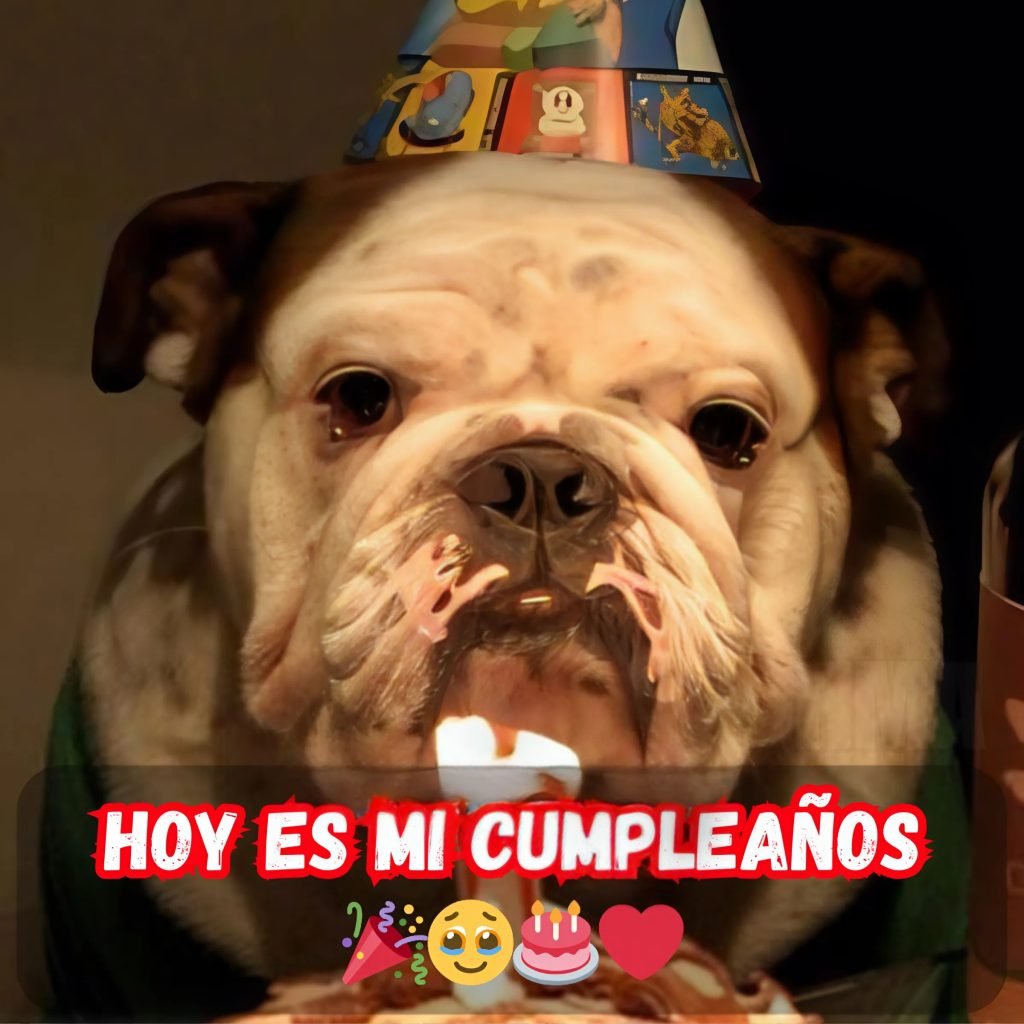 No he recibido ningún mensaje de felicitación, creo que tendré que celebrar mi cumpleaños yo sola 😅🎉