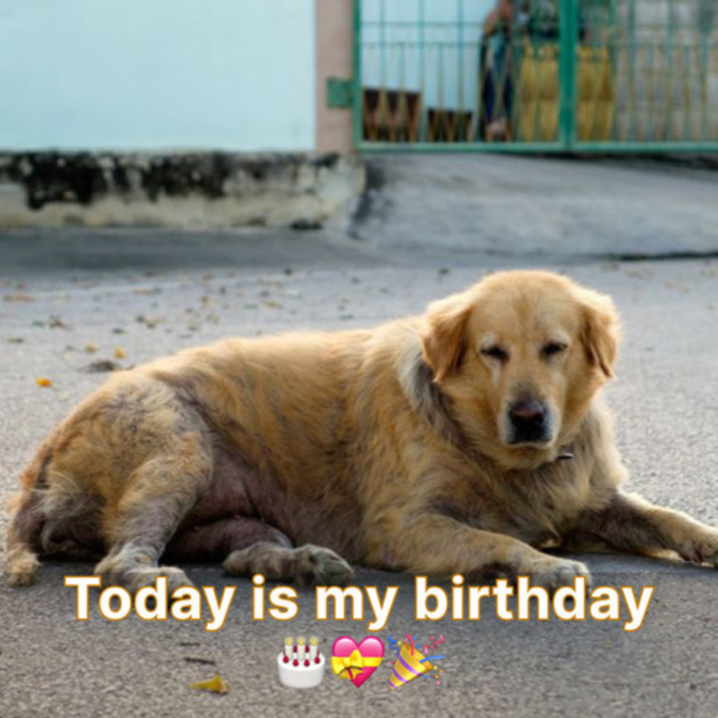 No one wished me a happy birthday, which made it a melancholy day.