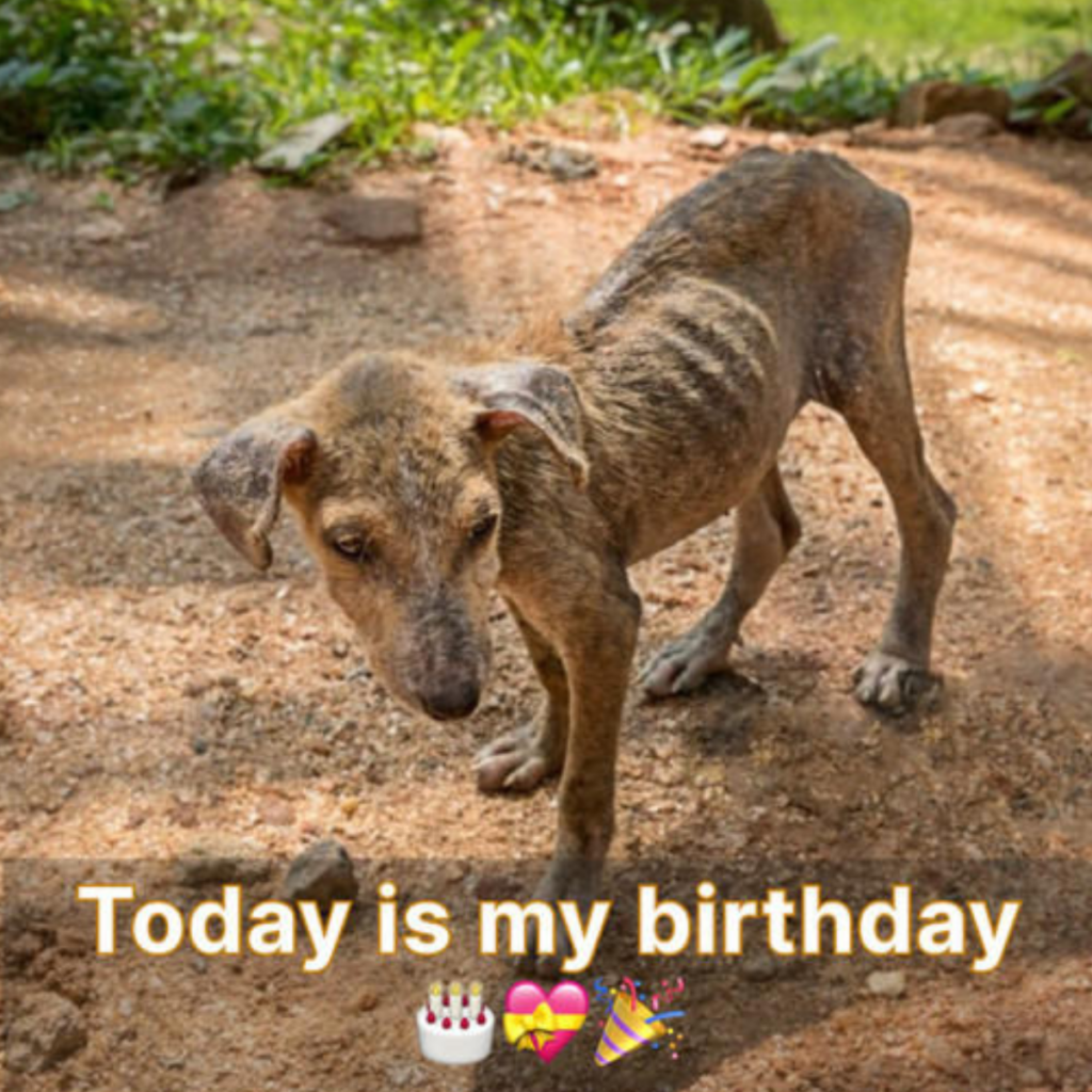 On my birthday, I felt sad because no one tried to celebrate with me.