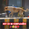 Otro año más, pero parece que nadie lo recordó... ¿Por qué no he recibido mensajes de cumpleaños? 😔🎈