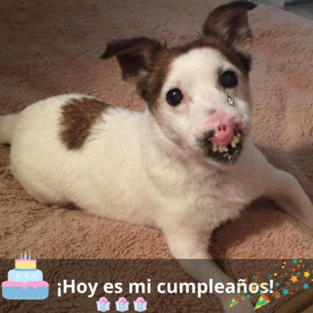 Si fuera más hermosa, quizá recibiría muchos buenos deseos en mi cumpleaños.hanh