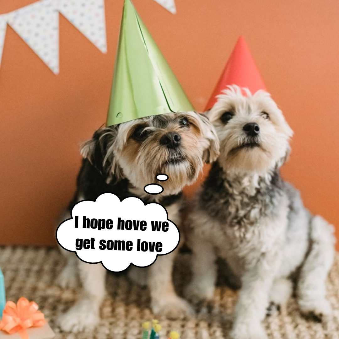Since I haven't received any birthday wishes up to this point, I am feeling quite depressed and alone on my birthday.