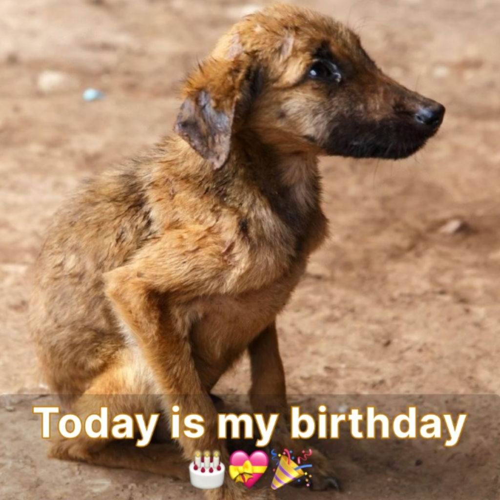 Since no one has made me feel special, I feel unwelcome on my birthday.