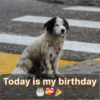 The absence of birthday wishes makes today feel hollow, despite my awareness of my flaws.