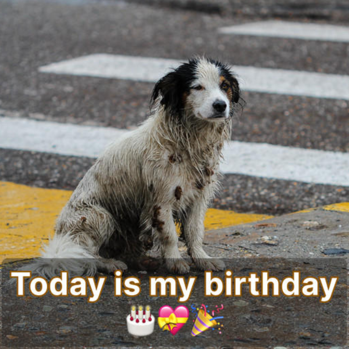 The absence of birthday wishes makes today feel hollow, despite my awareness of my flaws.