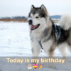 The fact that nobody attended my birthday celebration makes me quite sad.