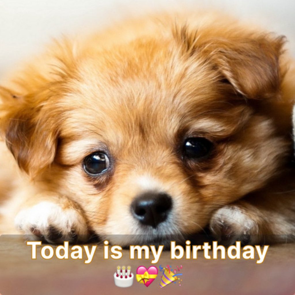 The fact that none of my pals can recall my birthday makes me sad.