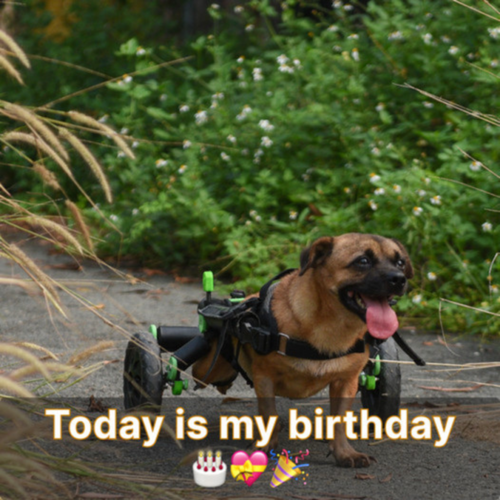 Today is a special day for me. It would be great if I could fulfill your demands. ‎