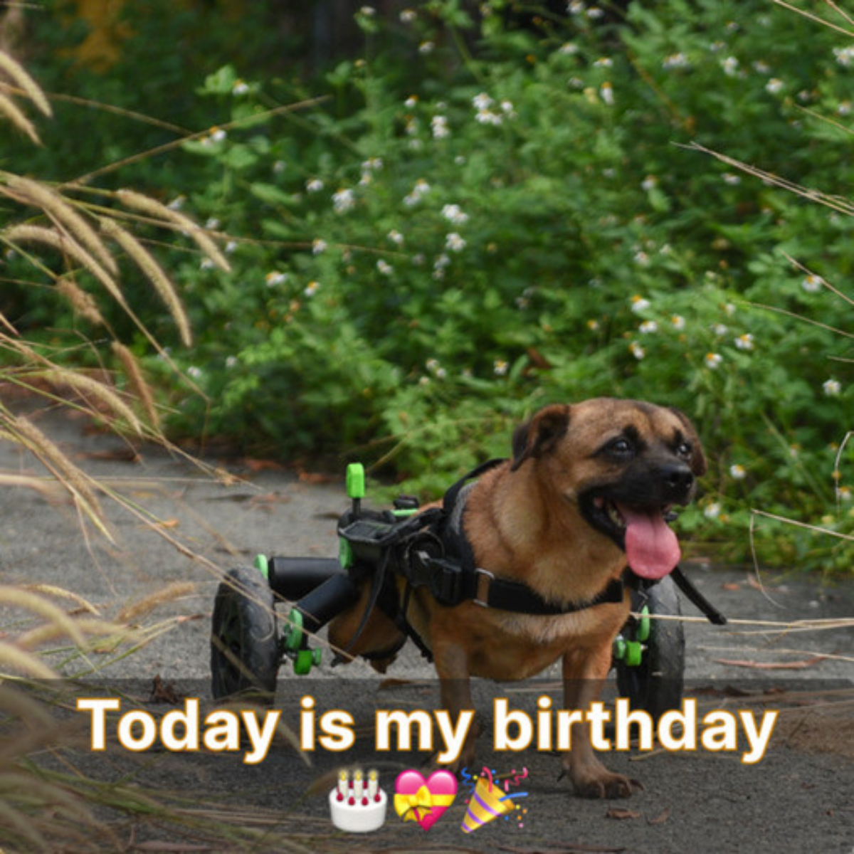 Today is a special day for me. It would be great if I could fulfill your demands. ‎