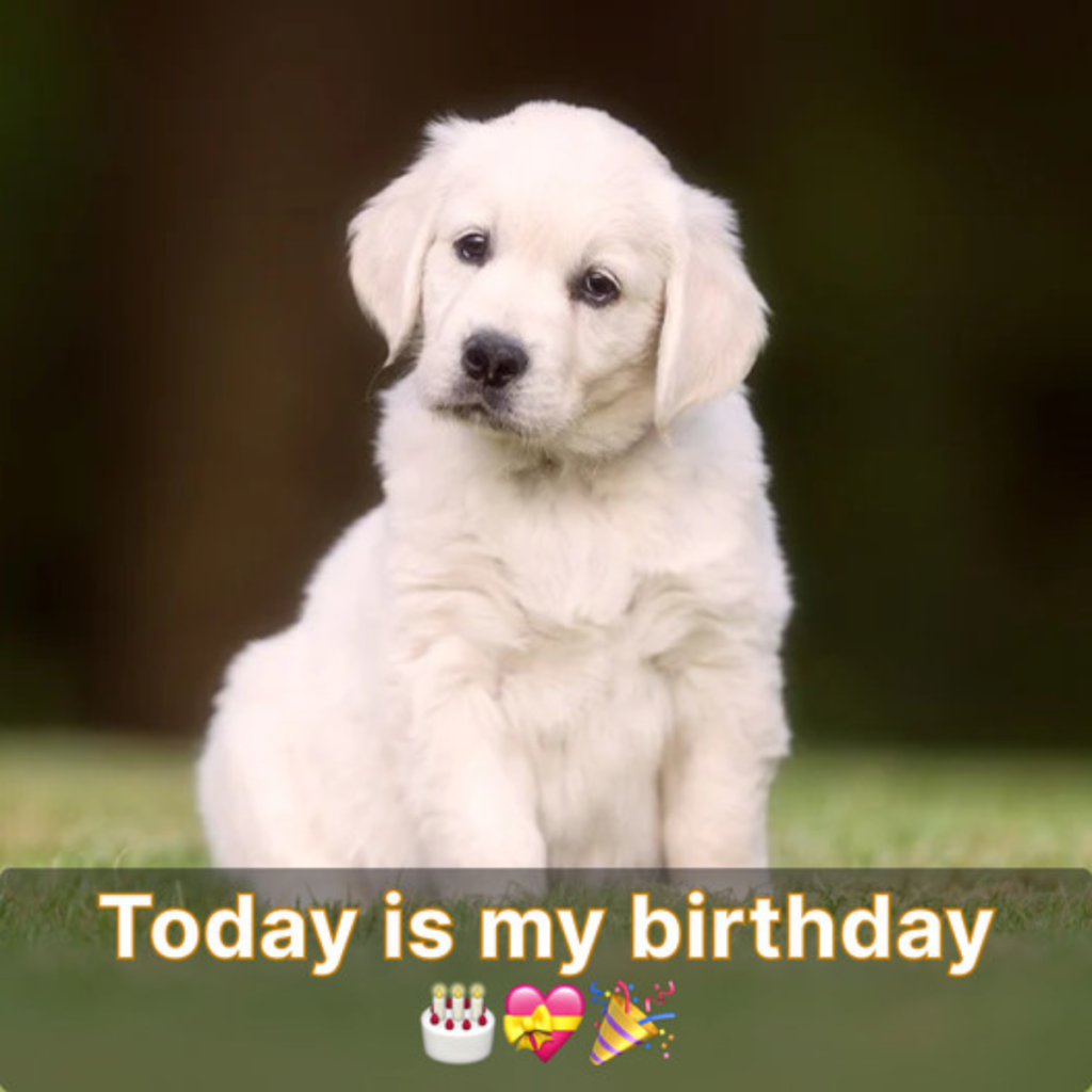 Today is my birthday, I haven't received any wishes and I'm depressed because I'm lonely.
