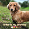 Today is my birthday, I’m so happy to receive everyone’s wishes.hanh