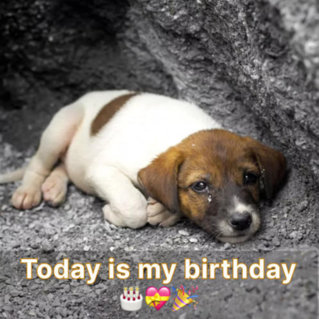 Today is my birthday, and I'm glad to be spending it with a kind person.