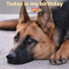 Today is my birthday but everyone around me ignores me because they think I'm not perfect.