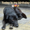Today is my birthday, i am sad because i am feel lonely.
