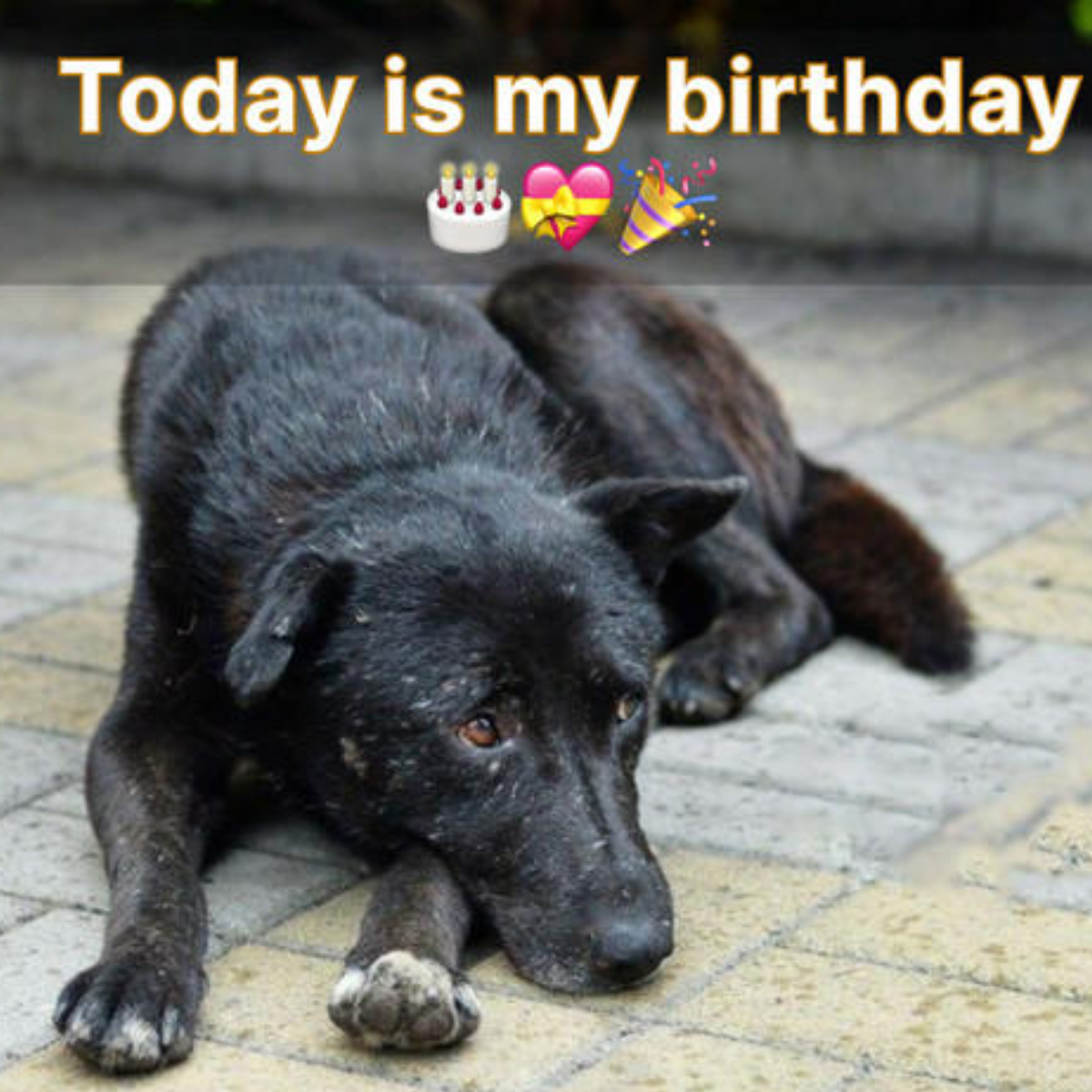 Today is my birthday, i am sad because i am feel lonely.
