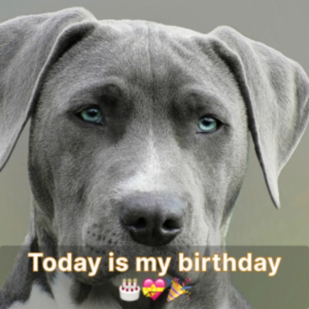 Today is the day I was born and it was my birthday but my friends didn't congratulate me at all.hanh