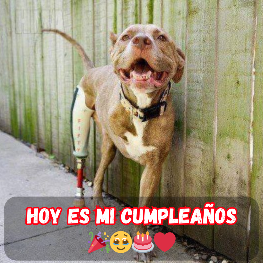 Un año más viejo, pero todavía esperando el primer 'Feliz Cumpleaños' 😔🎂