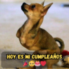 Un año mayor, un poco más sabio, pero todavía esperando que el mundo lo note