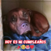 Un cumpleaños en soledad: cuando nadie recuerda tu día especial 😔🎂