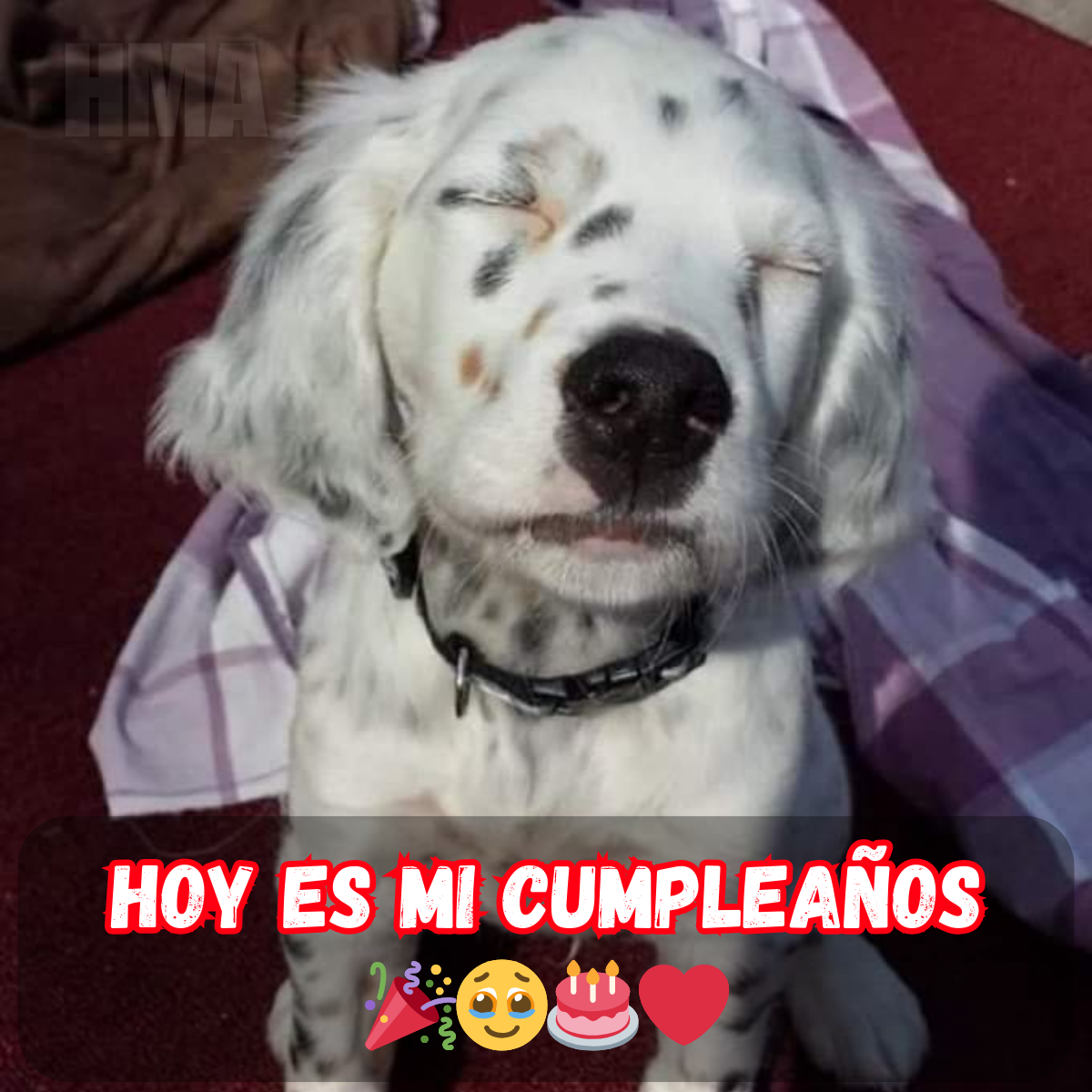 Un cumpleaños especial... pero nadie se acuerda de él 😔🎂