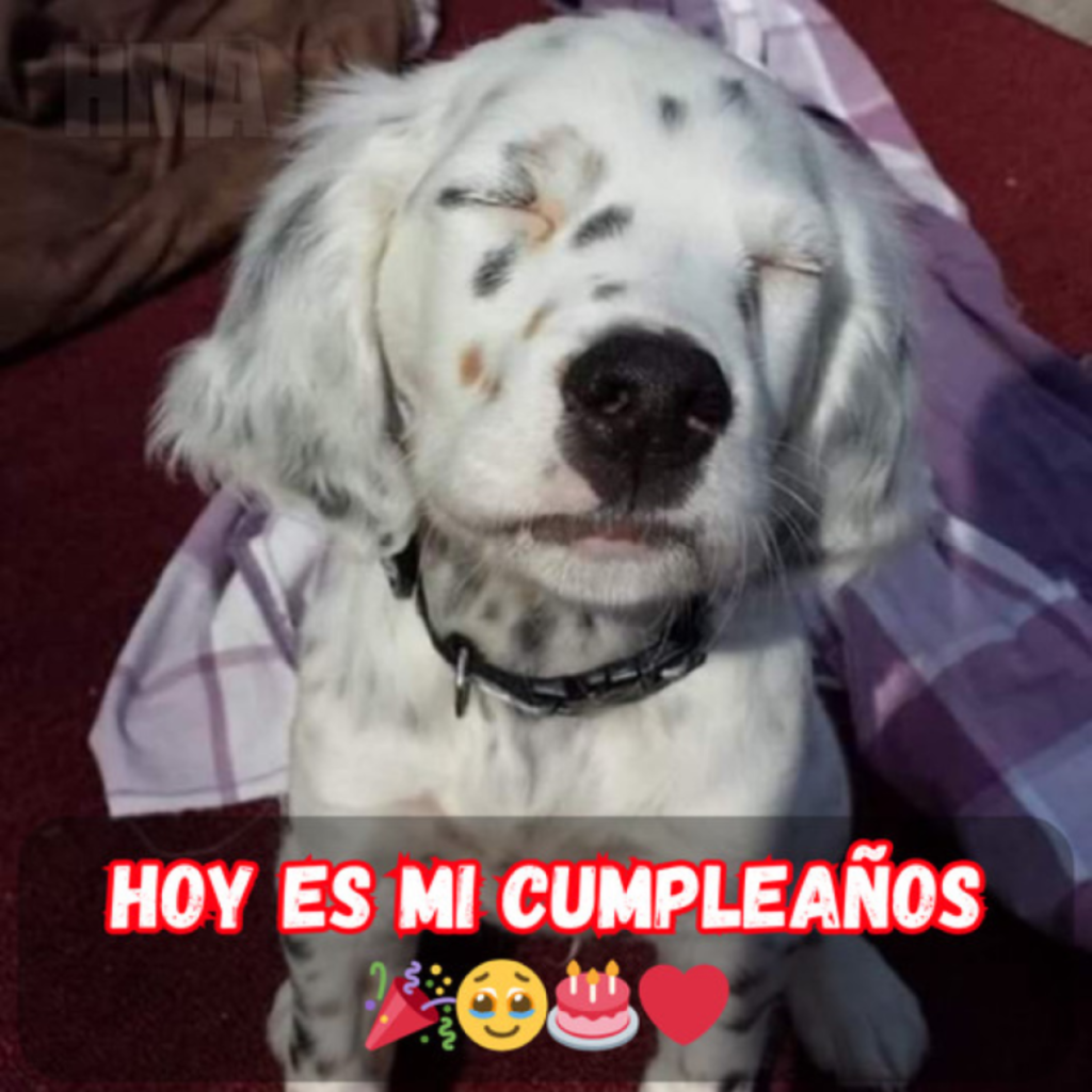Un cumpleaños especial… pero nadie se acuerda de él.hanh