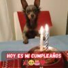 Un cumpleaños olvidado: el dolor de sentir que nadie se acuerda de ti 🎂💔