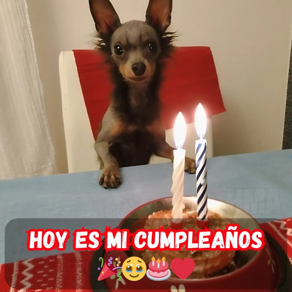 Un cumpleaños olvidado: el dolor de sentir que nadie se acuerda de ti 🎂💔