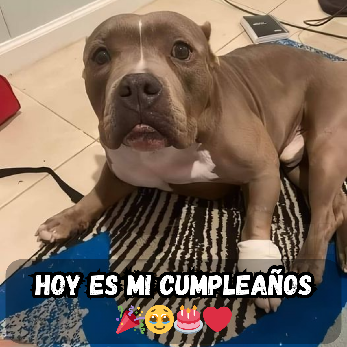 Un cumpleaños sin abrazos ni deseos: sintiéndome más solo que nunca 🎂😢
