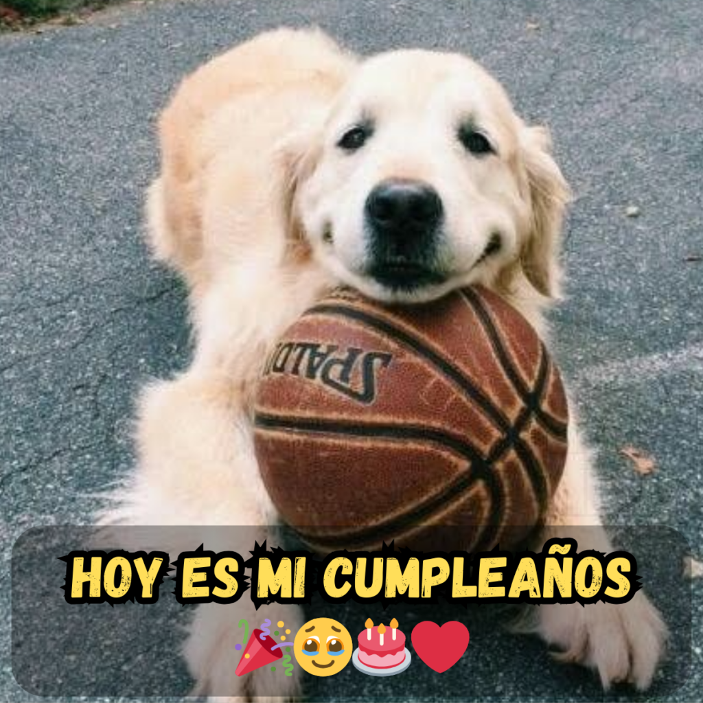 Un cumpleaños sin adornos ni adornos, ni siquiera un susurro de 'feliz cumpleaños'