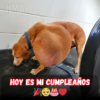 Un cumpleaños sin felicitaciones: un día que pasa en silencio 😔🎂