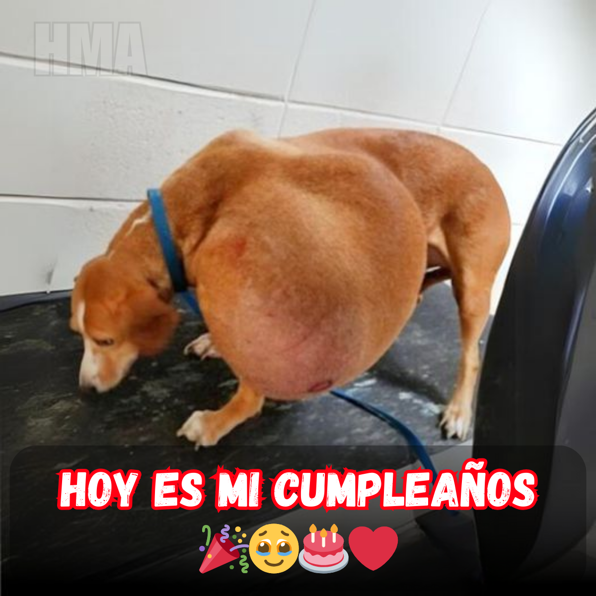 Un cumpleaños sin felicitaciones: un día que pasa en silencio 😔🎂