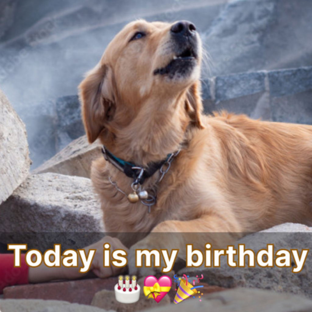 Warmth spreads on your special birthday