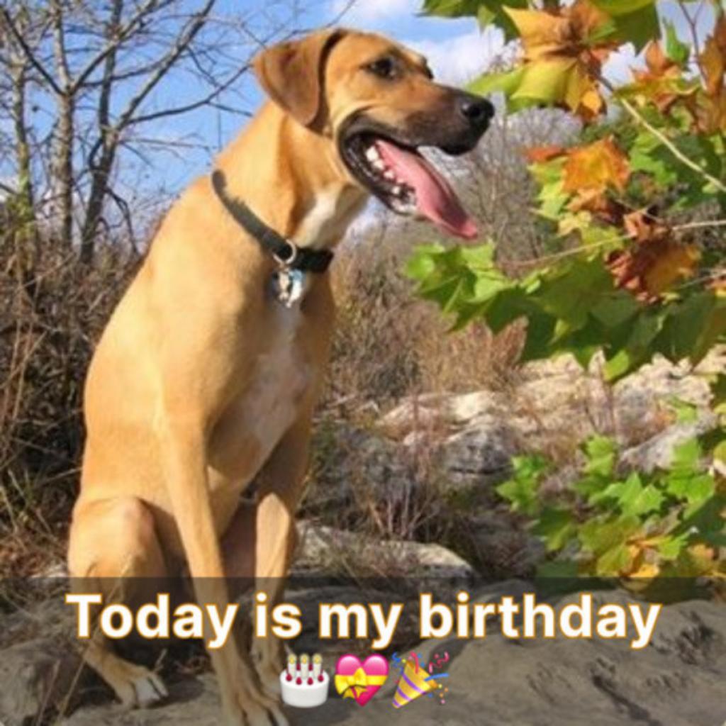 Warmths on your beautiful birthday! Today is a special day.