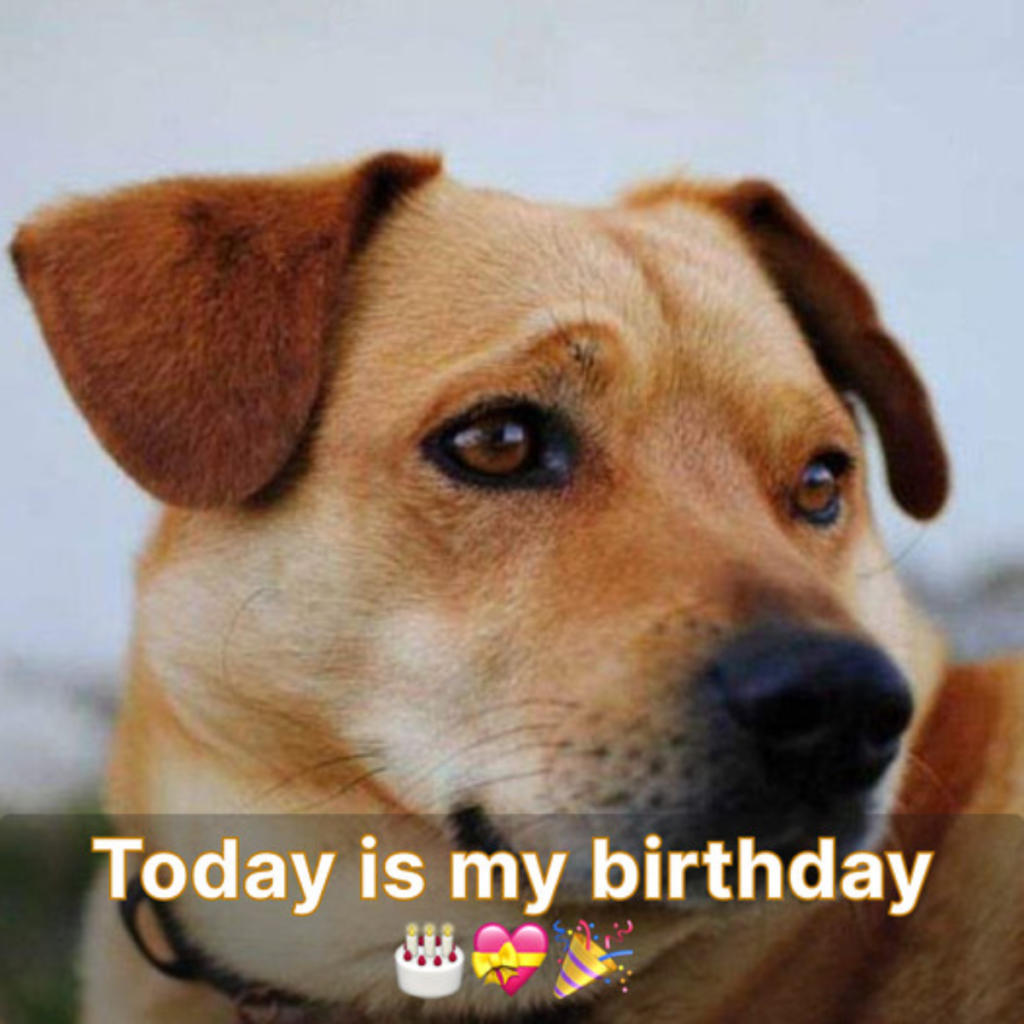 When my birthday passes with no greetings, I get a little depressed.